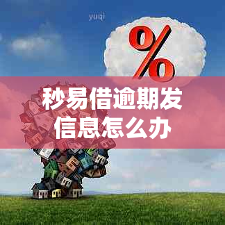 秒易借逾期发信息怎么办