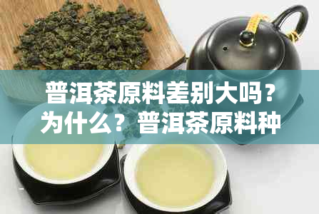 普洱茶原料差别大吗？为什么？普洱茶原料种类有哪些？