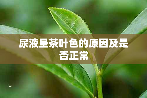 尿液呈茶叶色的原因及是否正常