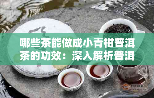 哪些茶能做成小青柑普洱茶的功效：深入解析普洱茶小青柑的全效功效