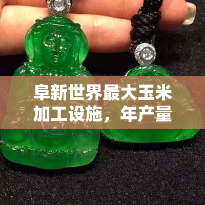 阜新世界更大玉米加工设施，年产量高达XX万吨