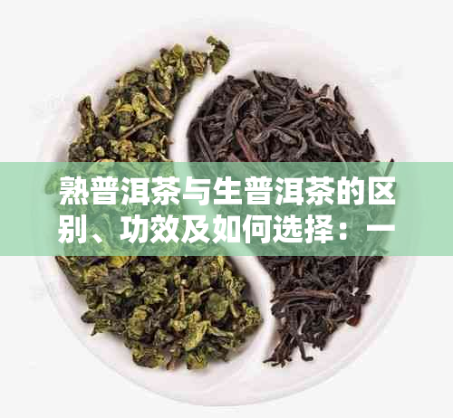 熟普洱茶与生普洱茶的区别、功效及如何选择：一篇全面解答茶友疑问的文章