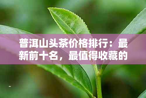 普洱山头茶价格排行：最新前十名，最值得收藏的十大普洱山头茶