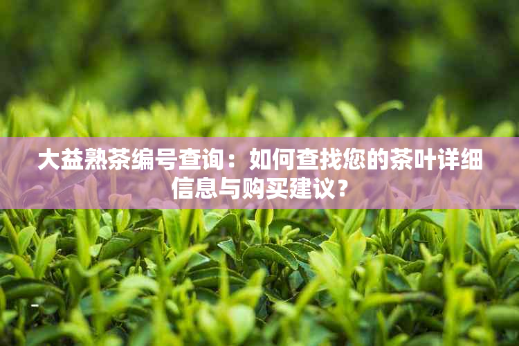 大益熟茶编号查询：如何查找您的茶叶详细信息与购买建议？