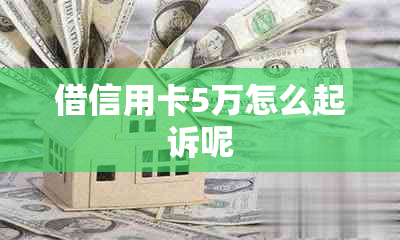 借信用卡5万怎么起诉呢