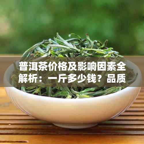 普洱茶价格及影响因素全解析：一斤多少钱？品质如何判断？购买建议是什么？