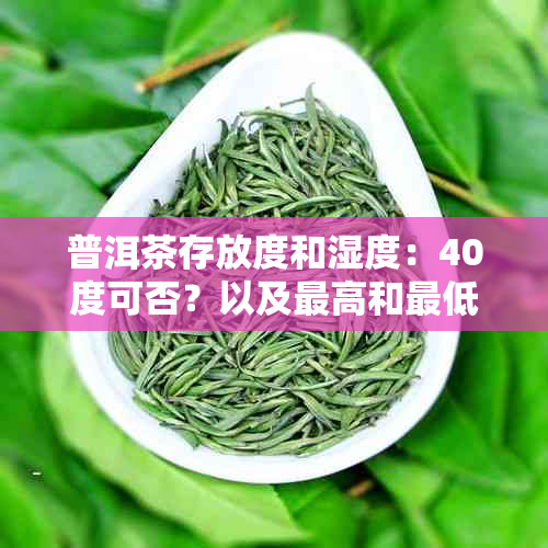 普洱茶存放度和湿度：40度可否？以及更高和更低存度