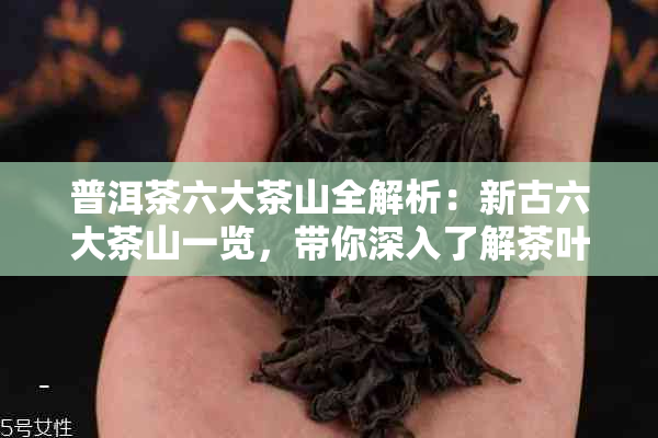 普洱茶六大茶山全解析：新古六大茶山一览，带你深入了解茶叶的产地与品质