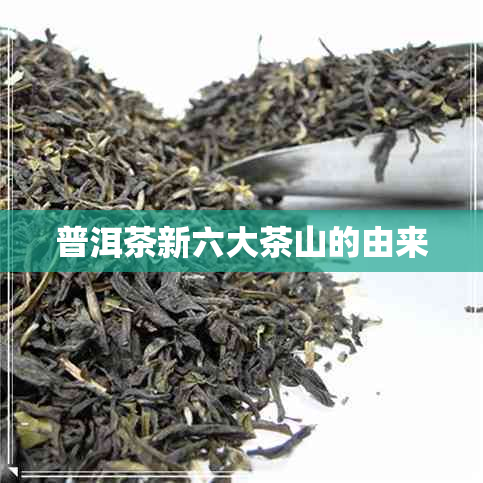 普洱茶新六大茶山的由来