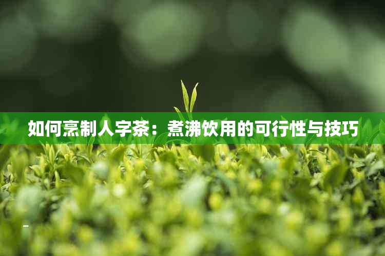 如何烹制人字茶：煮沸饮用的可行性与技巧