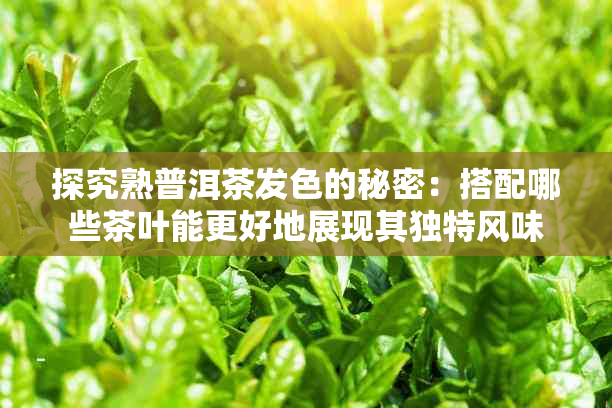 探究熟普洱茶发色的秘密：搭配哪些茶叶能更好地展现其独特风味