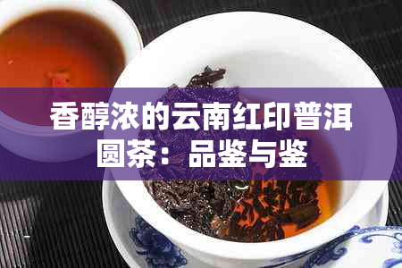 香醇浓的云南红印普洱圆茶：品鉴与鉴