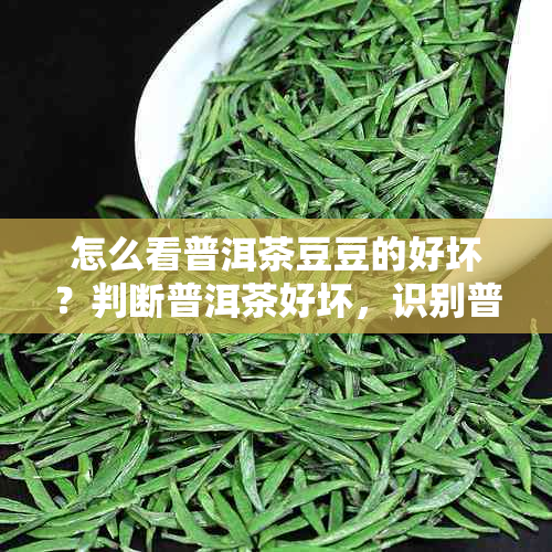 怎么看普洱茶豆豆的好坏？判断普洱茶好坏，识别普洱茶叶优劣。