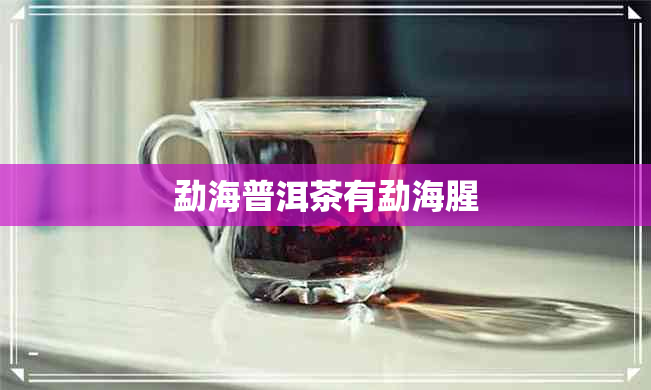 勐海普洱茶有勐海腥