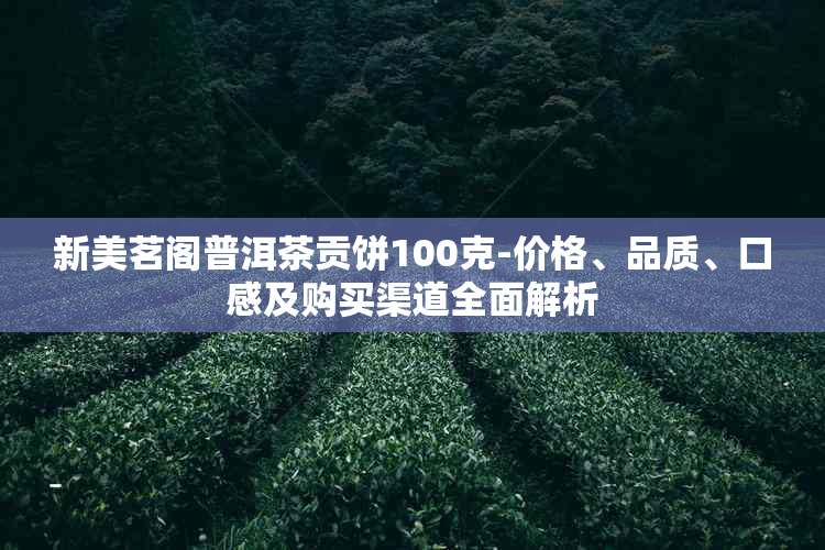 新美茗阁普洱茶贡饼100克-价格、品质、口感及购买渠道全面解析