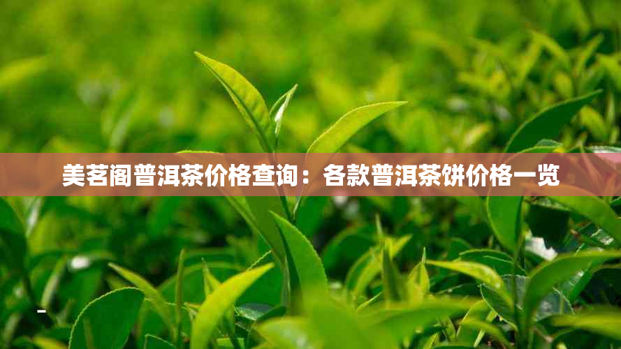 美茗阁普洱茶价格查询：各款普洱茶饼价格一览