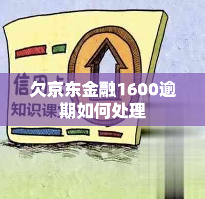 欠京东金融1600逾期如何处理