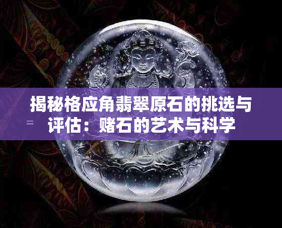 揭秘格应角翡翠原石的挑选与评估：石的艺术与科学