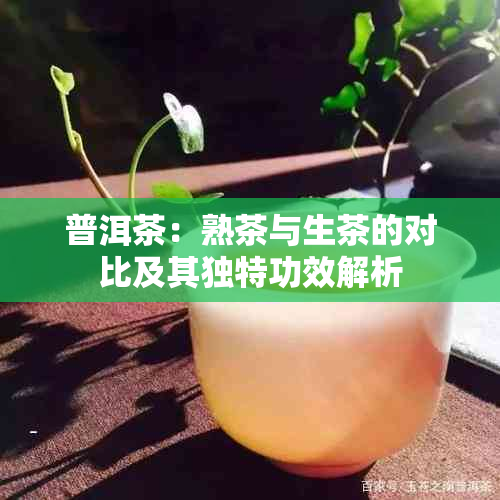 普洱茶：熟茶与生茶的对比及其独特功效解析