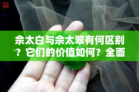 佘太白与佘太翠有何区别？它们的价值如何？全面解析两者相似性和市场价值。