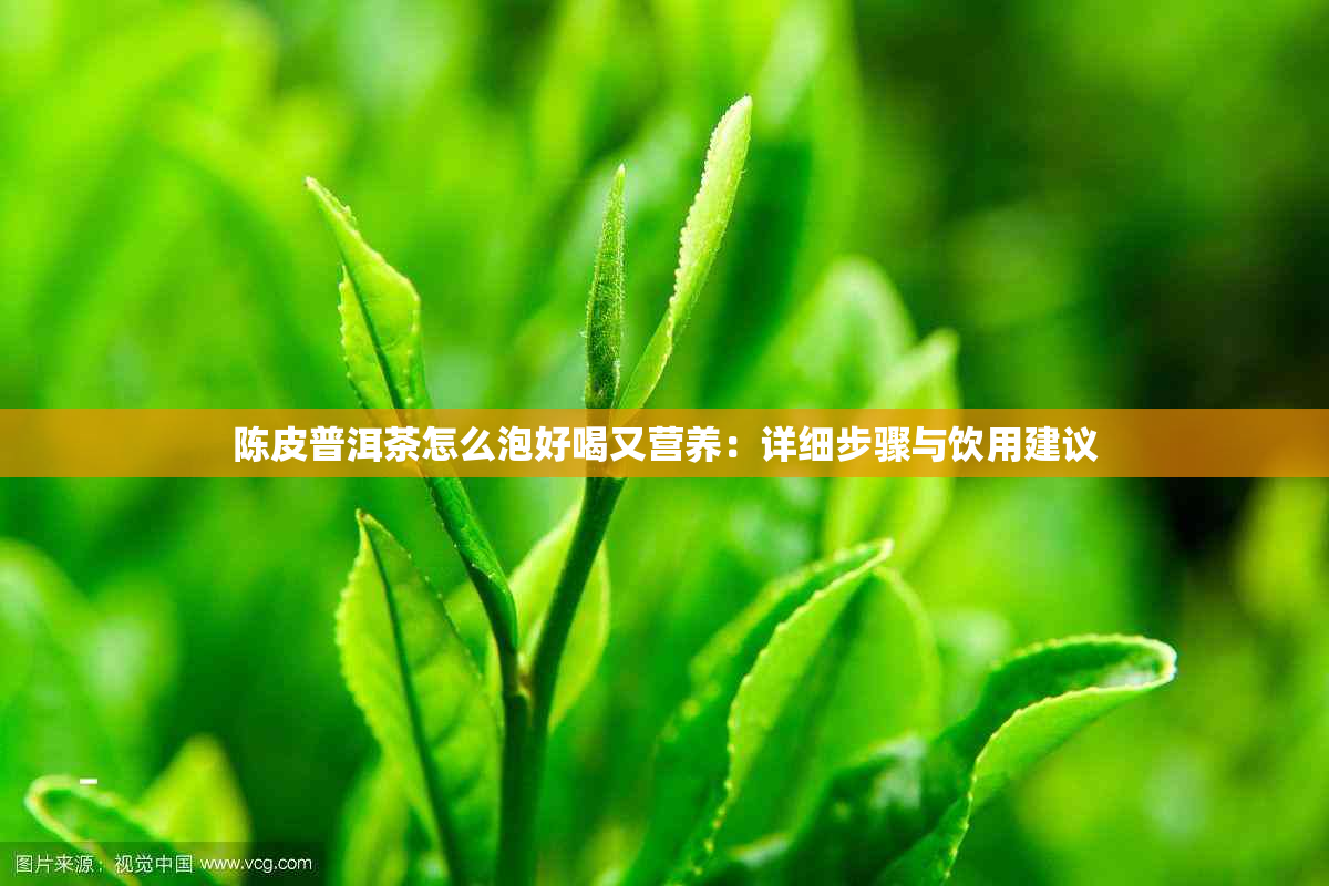 陈皮普洱茶怎么泡好喝又营养：详细步骤与饮用建议