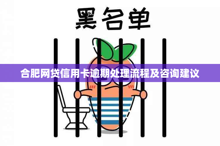 合肥网贷信用卡逾期处理流程及咨询建议