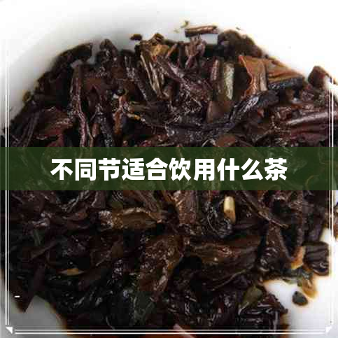 不同节适合饮用什么茶