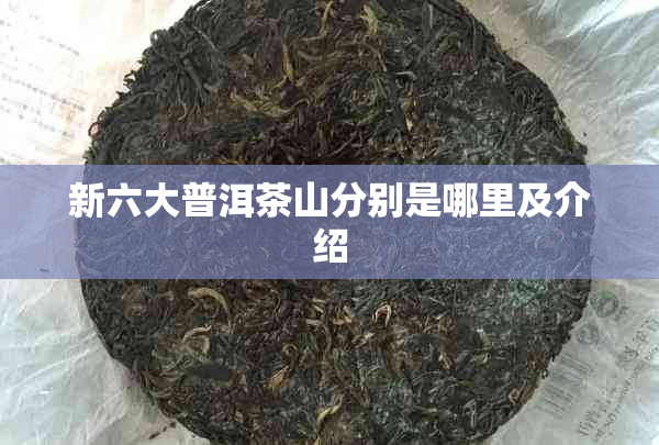 新六大普洱茶山分别是哪里及介绍