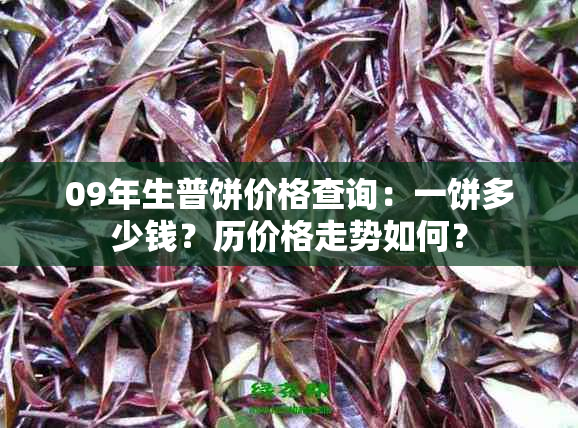 09年生普饼价格查询：一饼多少钱？历价格走势如何？