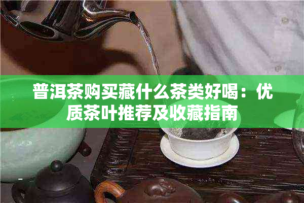 普洱茶购买藏什么茶类好喝：优质茶叶推荐及收藏指南