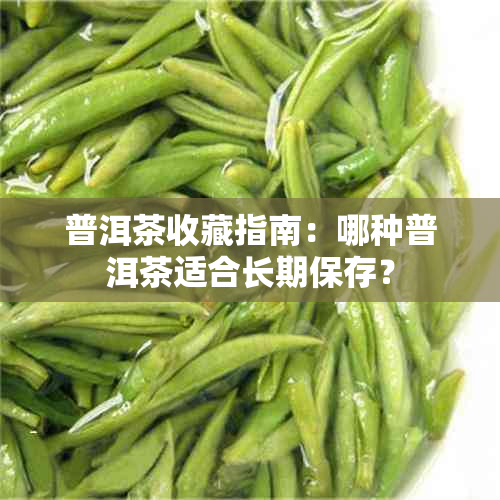 普洱茶收藏指南：哪种普洱茶适合长期保存？