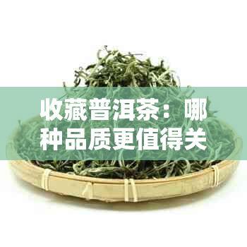 收藏普洱茶：哪种品质更值得关注？