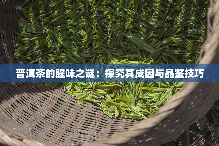 普洱茶的腥味之谜：探究其成因与品鉴技巧