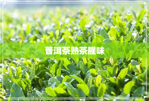 普洱茶熟茶腥味