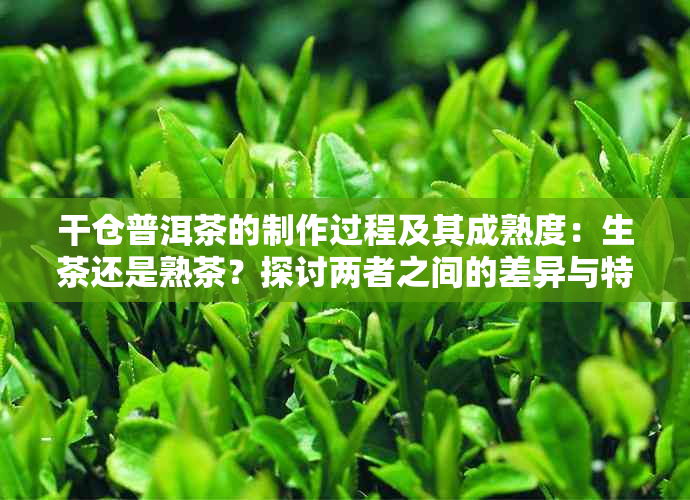 干仓普洱茶的制作过程及其成熟度：生茶还是熟茶？探讨两者之间的差异与特点