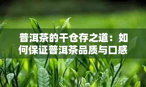 普洱茶的干仓存之道：如何保证普洱茶品质与口感？