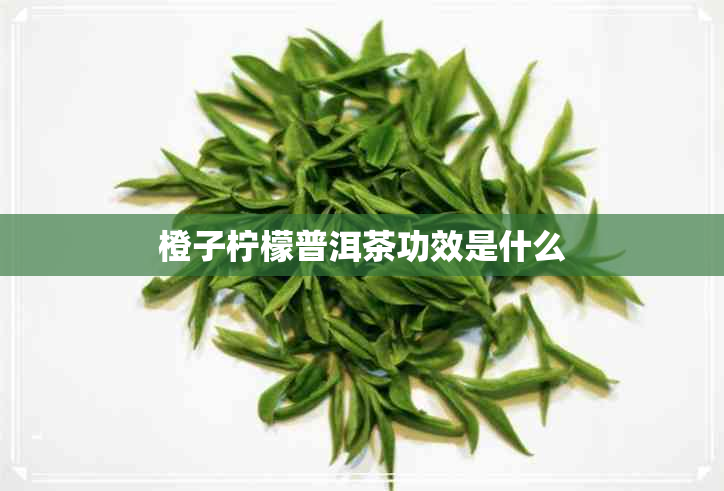 橙子柠檬普洱茶功效是什么