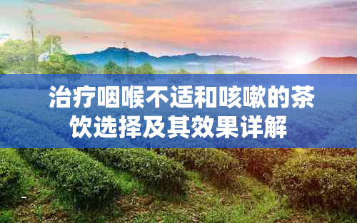  治疗咽喉不适和咳嗽的茶饮选择及其效果详解