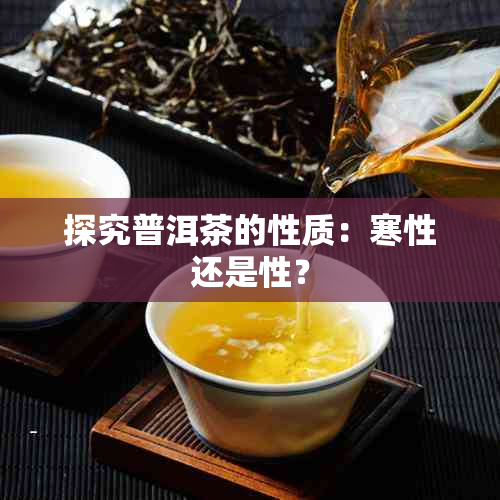 探究普洱茶的性质：寒性还是性？