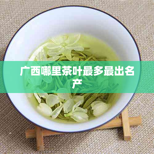 广西哪里茶叶最多最出名产