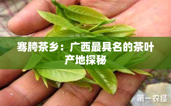 骞胯茶乡：广西更具名的茶叶产地探秘