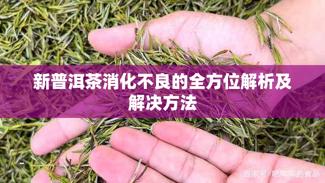 新普洱茶消化不良的全方位解析及解决方法