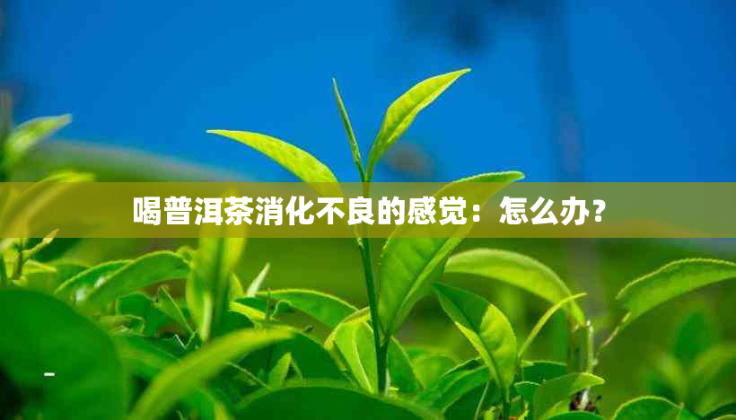 喝普洱茶消化不良的感觉：怎么办？