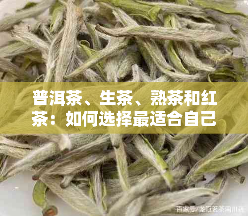 普洱茶、生茶、熟茶和红茶：如何选择最适合自己口味的茶叶？