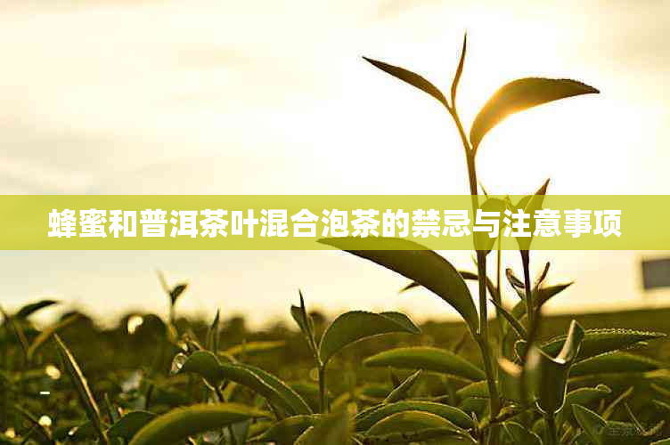 蜂蜜和普洱茶叶混合泡茶的禁忌与注意事项