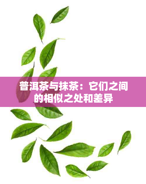 普洱茶与抹茶：它们之间的相似之处和差异