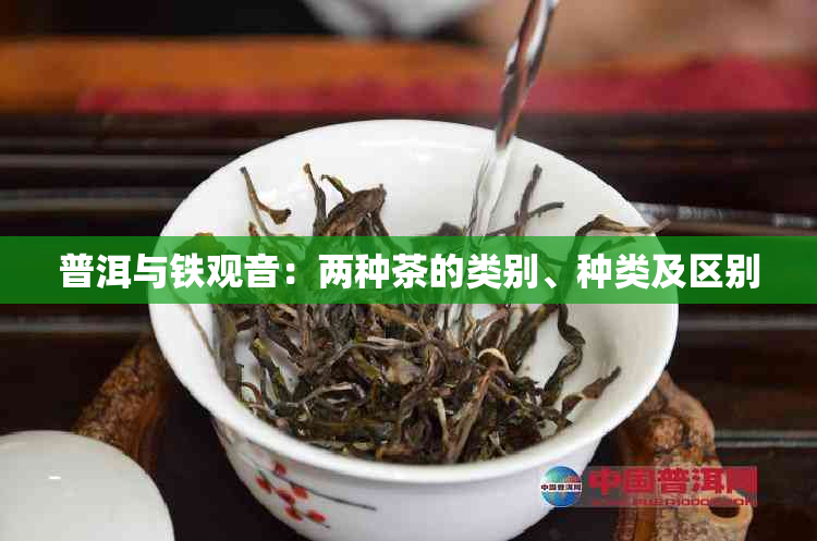 普洱与铁观音：两种茶的类别、种类及区别