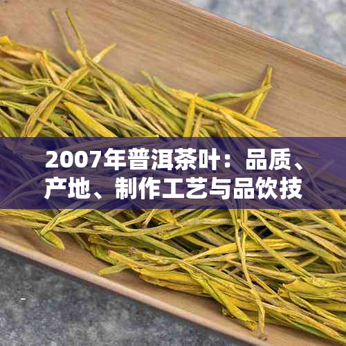 2007年普洱茶叶：品质、产地、制作工艺与品饮技巧的全面解析