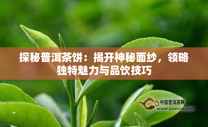 探秘普洱茶饼：揭开神秘面纱，领略独特魅力与品饮技巧