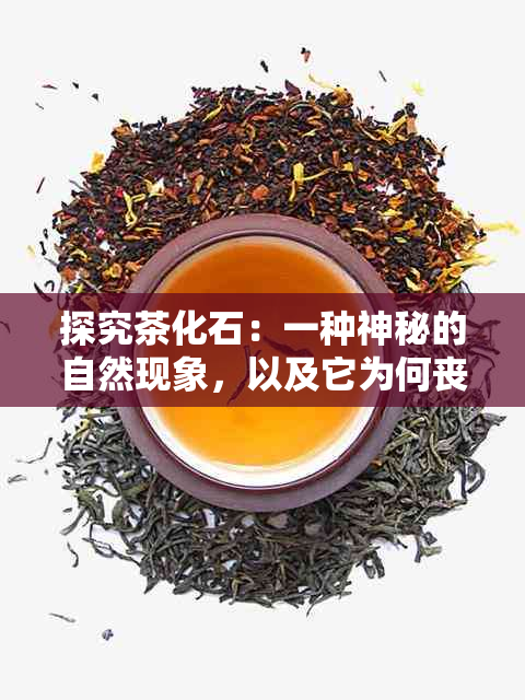 探究茶化石：一种神秘的自然现象，以及它为何丧失了茶叶的香味